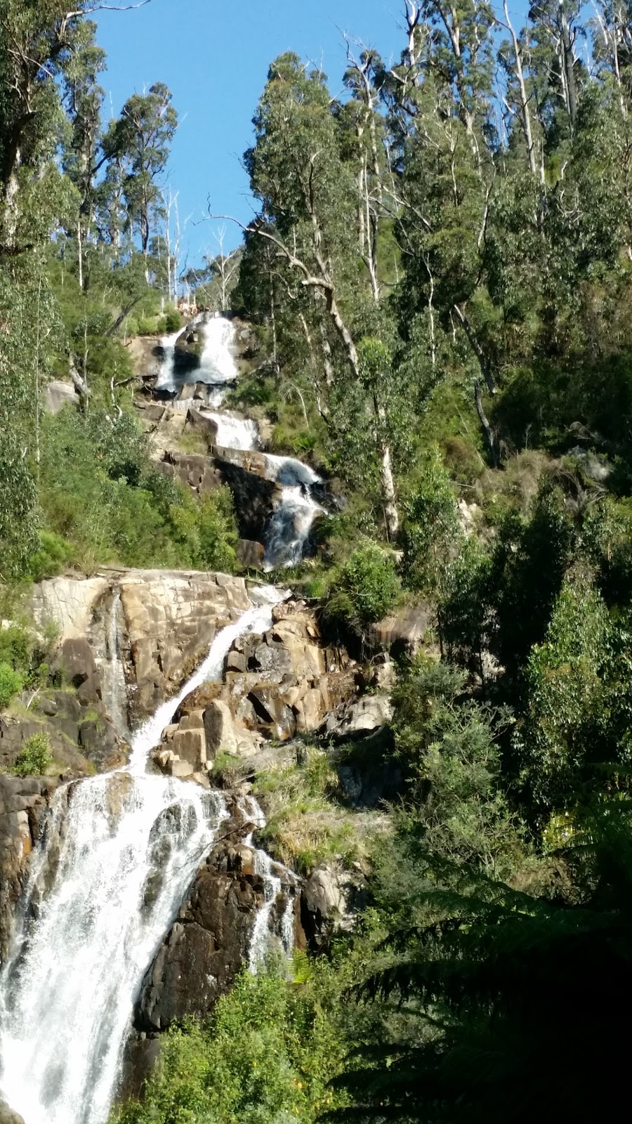 Steavenson Falls Reserve | Marysville VIC 3779, Australia | Phone: 13 19 63