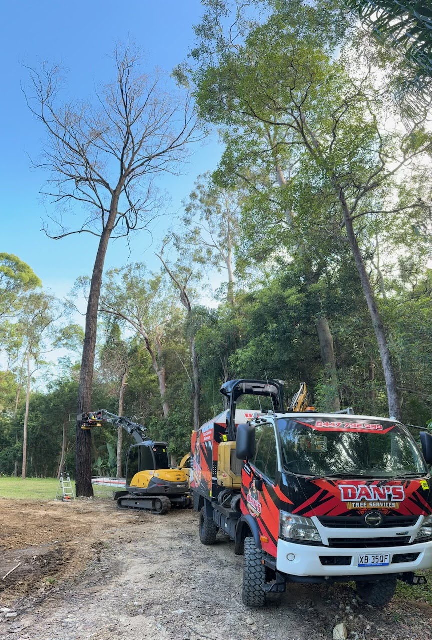 Dans Tree Services | 62 The Oval Dr, Mount Nathan QLD 4211, Australia | Phone: 0447 792 999