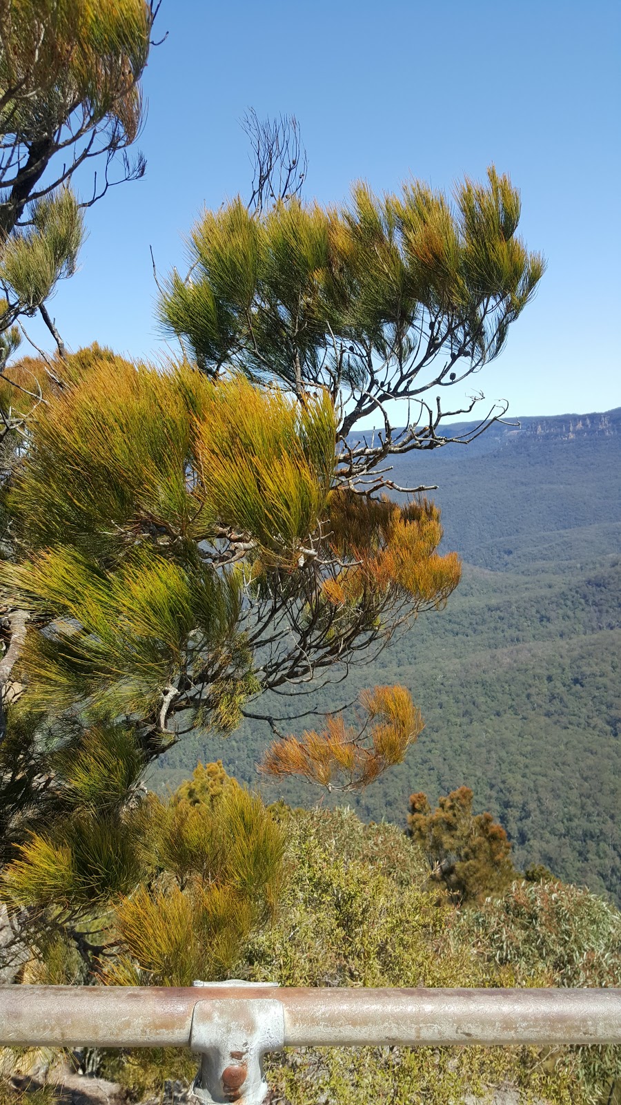 The Greater Blue Mountains Drive | Sublime Point Rd, Leura NSW 2780, Australia | Phone: 1300 653 408