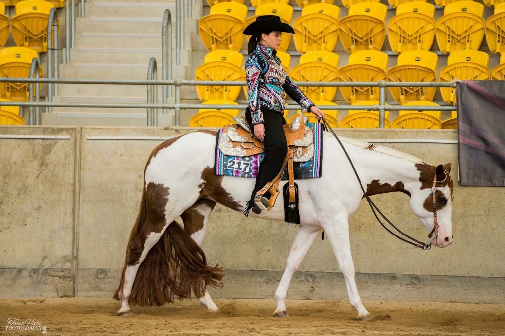 Macarthur Performance Horses | travel agency | 593 Lake Innes Dr, Lake Innes NSW 2446, Australia | 0488333799 OR +61 488 333 799