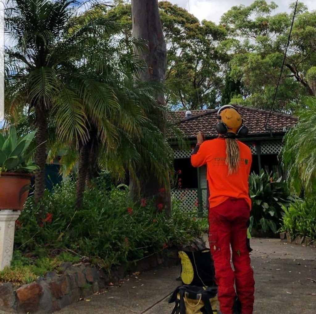 Touchwood Tree Services | Tree Removal Newcastle |  | 21 Gray St, Swansea NSW 2281, Australia | 0430878443 OR +61 430 878 443