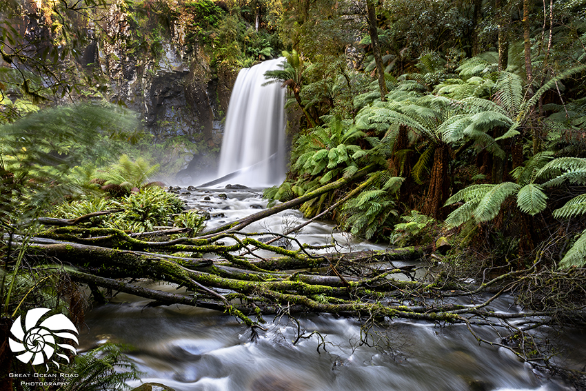 Tim Henshall Photography | 182 Shell Rd, Ocean Grove VIC 3226, Australia | Phone: (03) 5256 2412