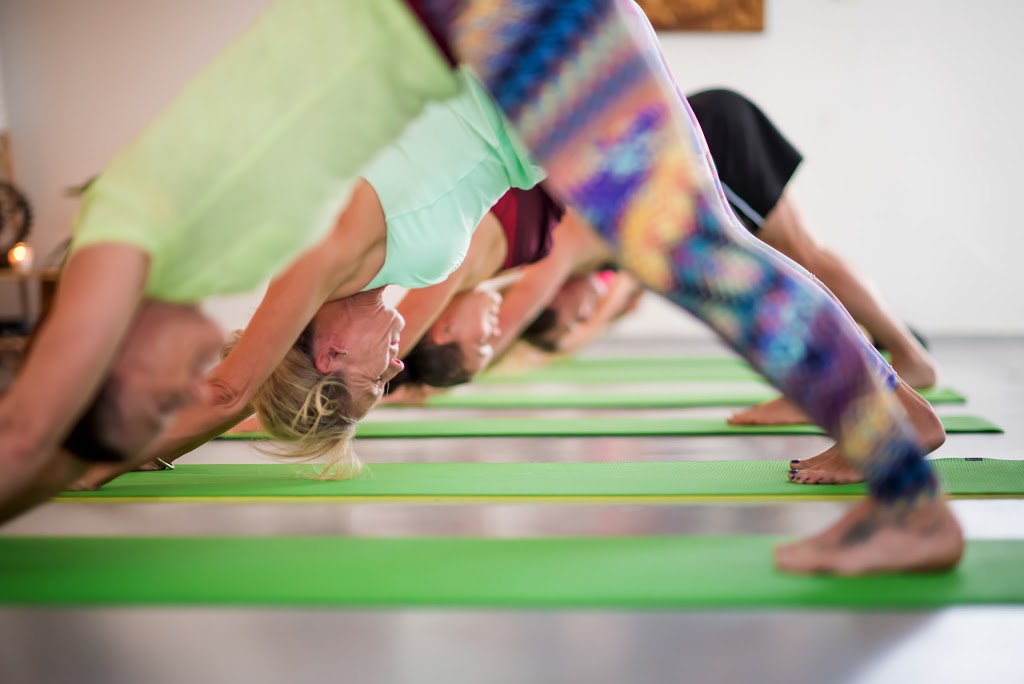 One Family Yoga & Fitness | 105 Seville Rd, Holland Park QLD 4121, Australia | Phone: 0458 771 073