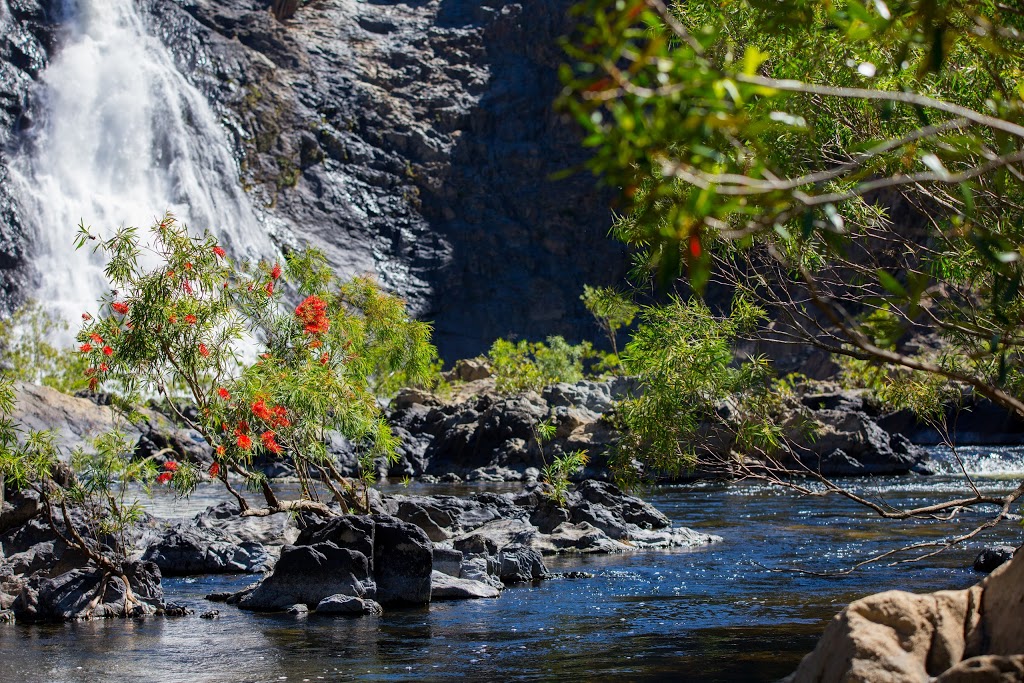 Wujal Wujal Falls | park | Bloomfield QLD 4895, Australia