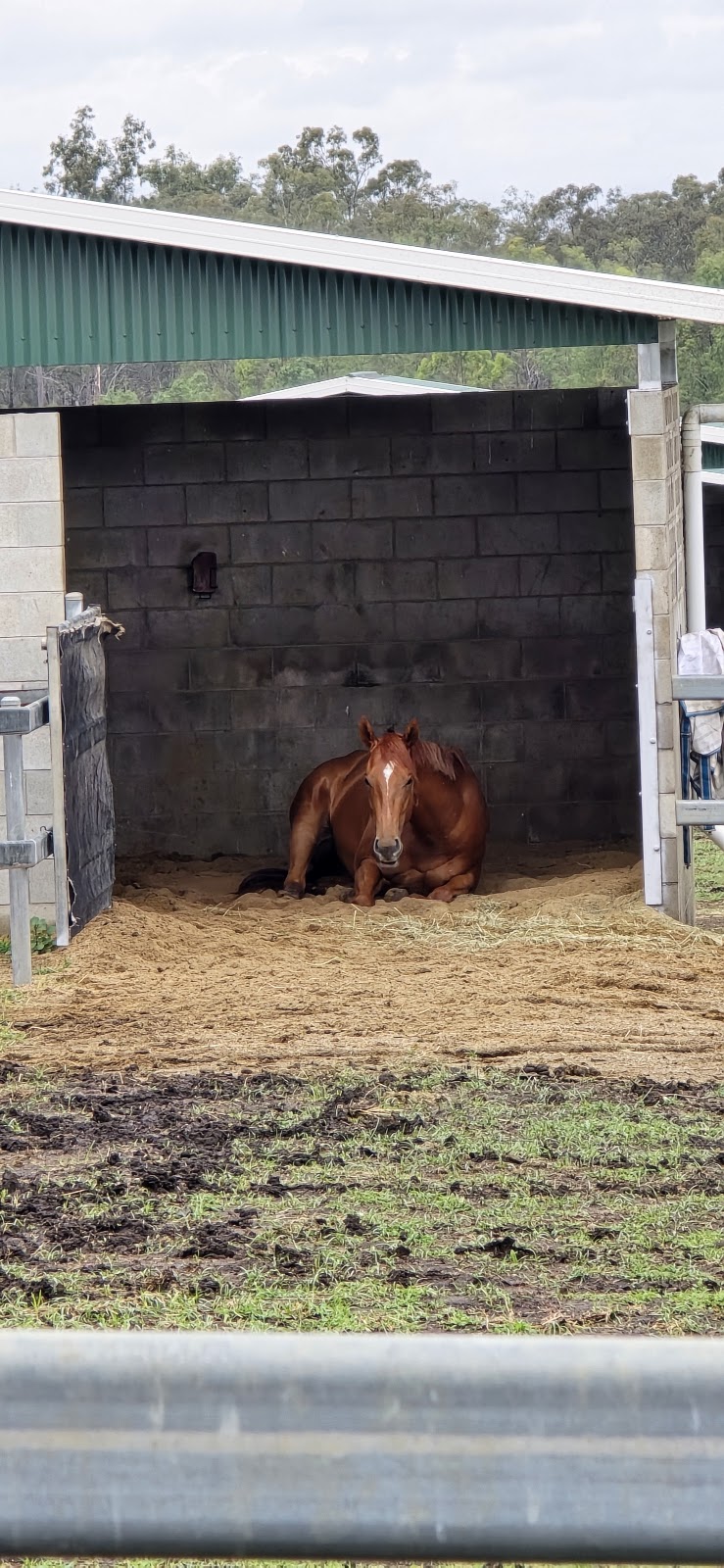 Grason Park | 1211 Middle Rd, Peak Crossing QLD 4306, Australia | Phone: 0400 480 668 Grason Park | 1211 Middle Rd, Peak Crossing QLD 4306, Australia | Phone: 0400 480 668