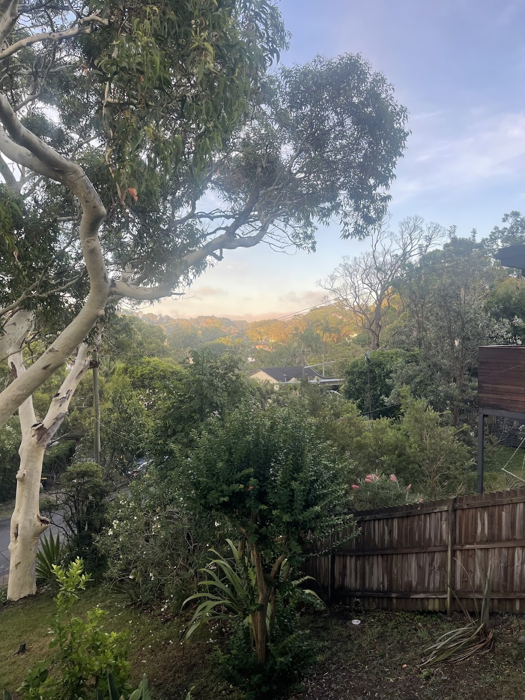 YOGA WITH CLARI | 129 Whale Beach Rd, Avalon Beach NSW 2107, Australia | Phone: 011 15-6890-3351