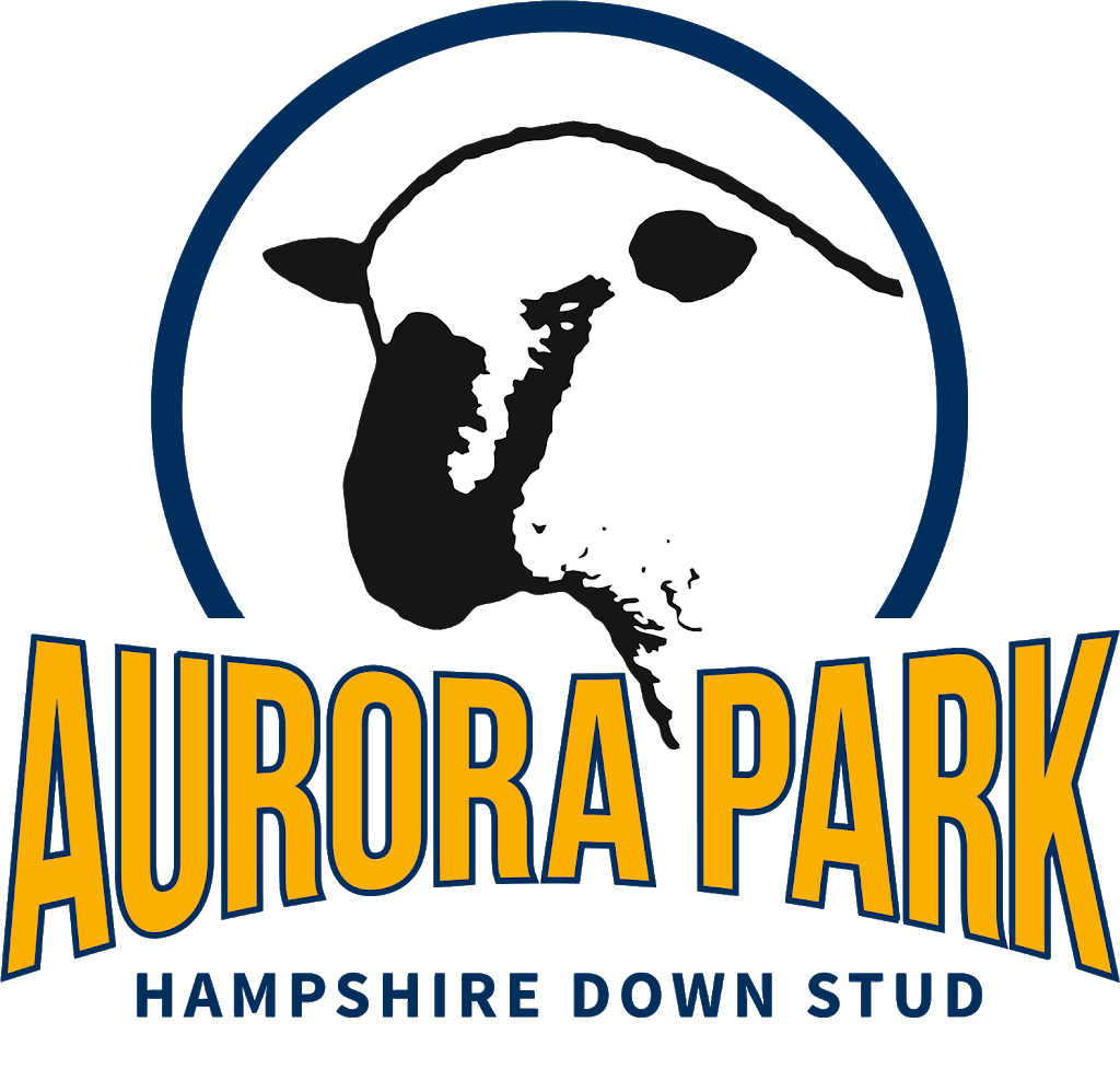 Aurora Park & Burrandool Hampshire Down Studs | 868 Horsham-Wal Wal Rd, St Helens Plains VIC 3401, Australia | Phone: 0488 159 853