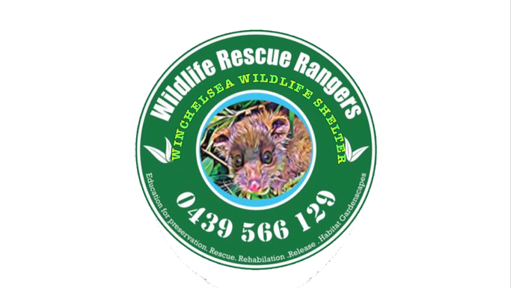 Winchelsea Wildlife Shelter |  | 55 Harding St, Winchelsea VIC 3241, Australia | 0439566129 OR +61 439 566 129