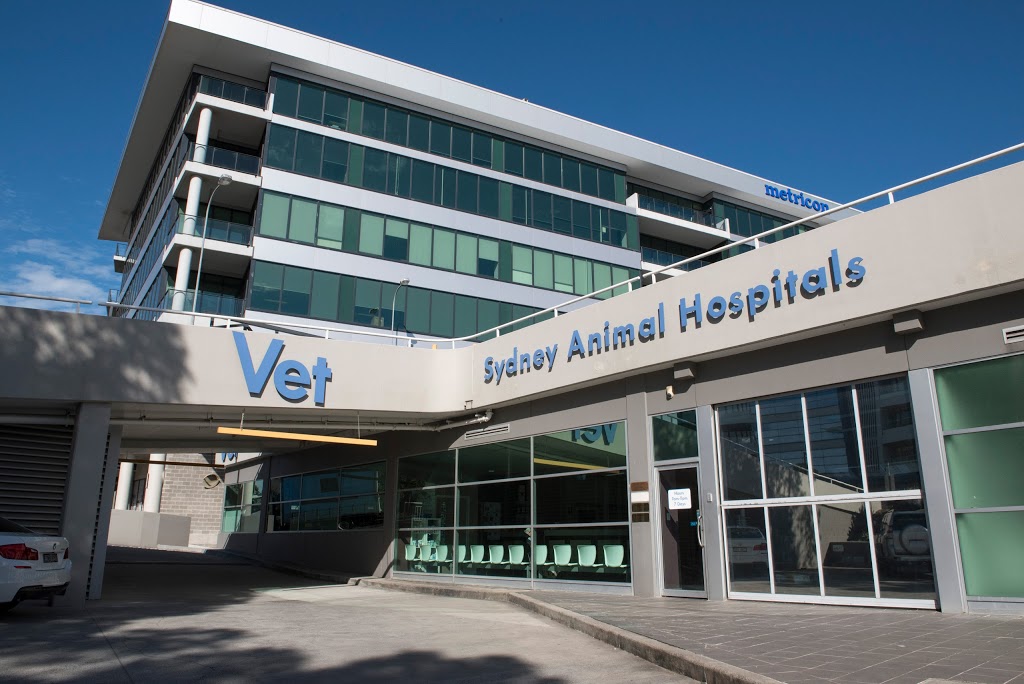 Sydney Animal Hospitals Norwest | veterinary care | 8/1 Celebration Dr, Bella Vista NSW 2153, Australia | 0288830411 OR +61 2 8883 0411