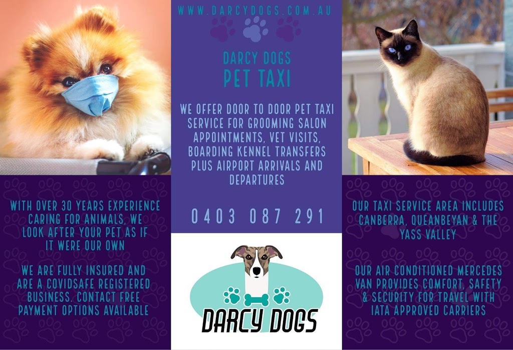 Darcy Dogs |  | 44 Murrumbateman Rd, Murrumbateman NSW 2582, Australia | 0403087291 OR +61 403 087 291