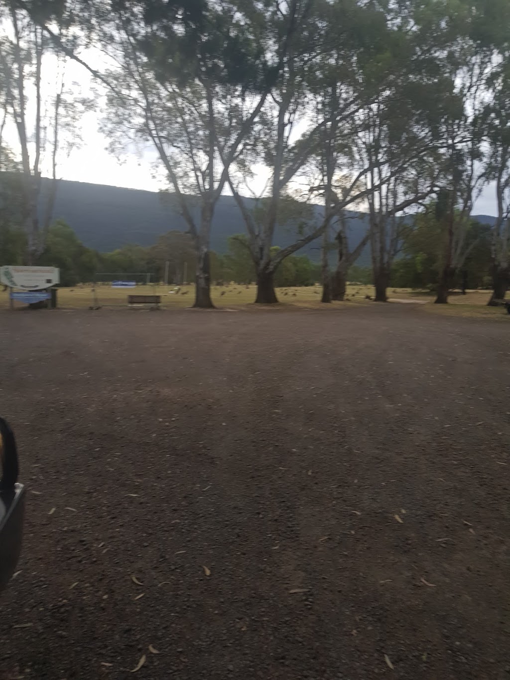 Canadian Gully Bushland Reserve | park | Deep Lead VIC 3381, Australia | 131963 OR +61 131963