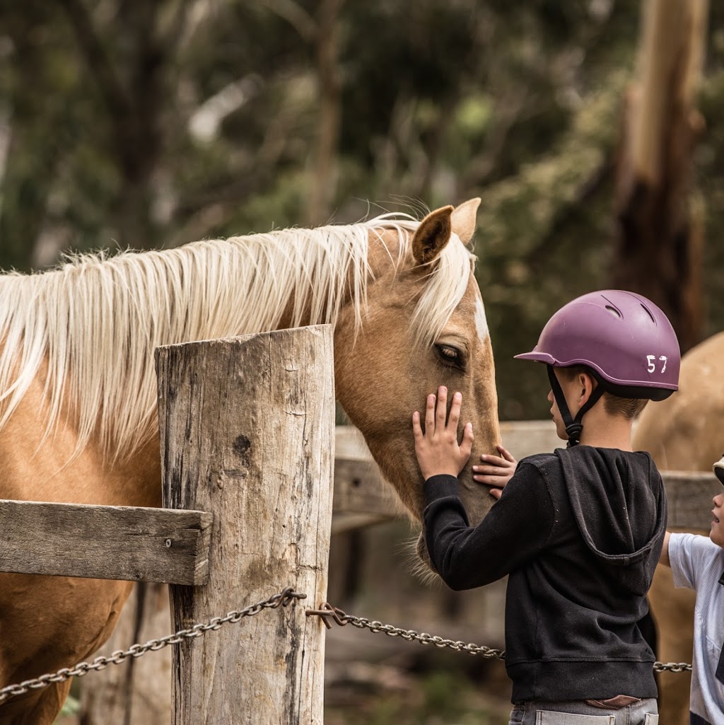 Spring Creek Horse Rides | travel agency | 245 Portreath Rd, Bellbrae VIC 3228, Australia | 0423456922 OR +61 423 456 922