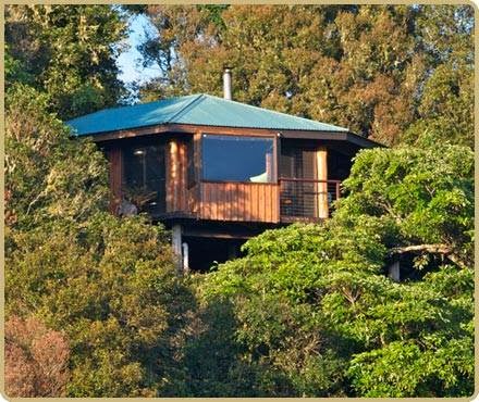 Mt Quincan Crater Retreat | Hunt Rd, Peeramon QLD 4884, Australia | Phone: (07) 4095 2255