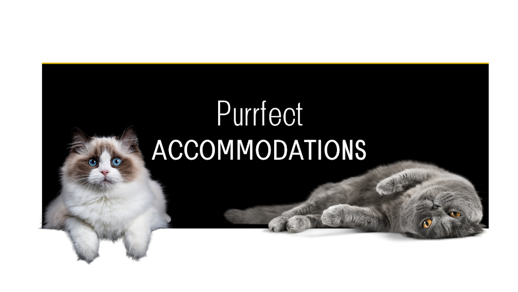 Purrfection Cat Retreat | 16 Ryan Rd, Medowie NSW 2318, Australia | Phone: (02) 4982 8998