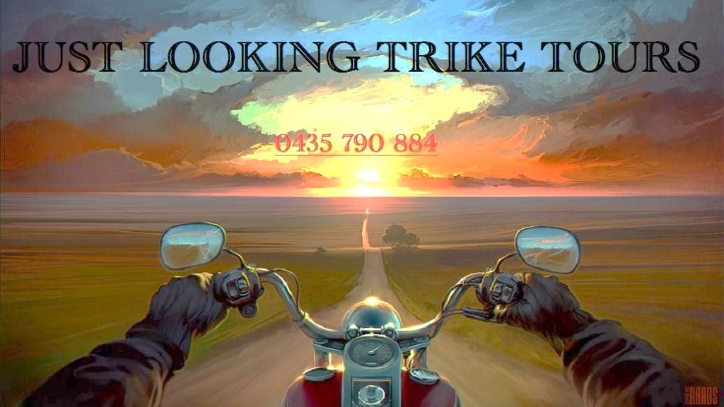 just looking trike tours | travel agency | 30 Lorking St, Bellambi NSW 2518, Australia | 0435790884 OR +61 435 790 884