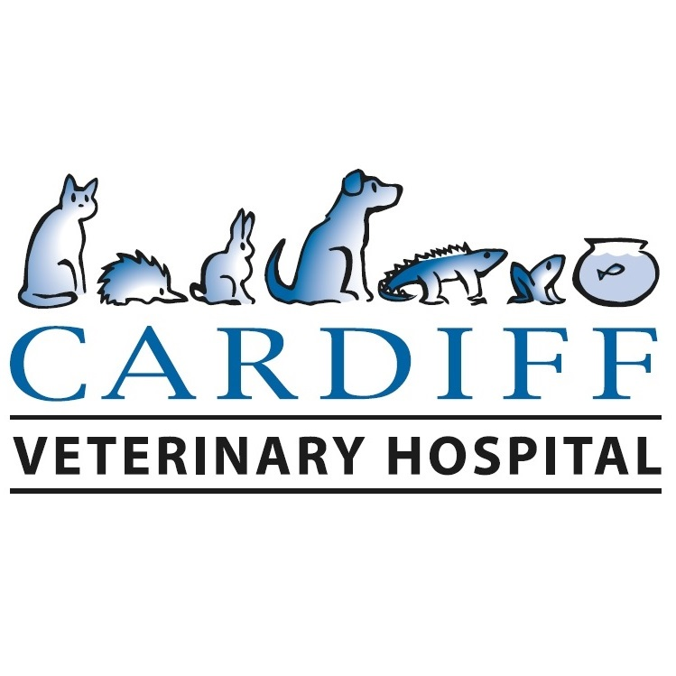 Cornwell Andrew | veterinary care | 26C Harrison St, Cardiff NSW 2285, Australia | 0249547055 OR +61 2 4954 7055