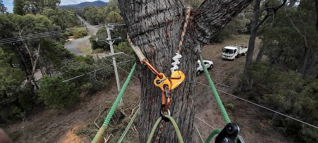 STC Tree Services | general contractor | 1323 Arthur Hwy, Forcett TAS 7173, Australia | 0448512092 OR +61 448 512 092