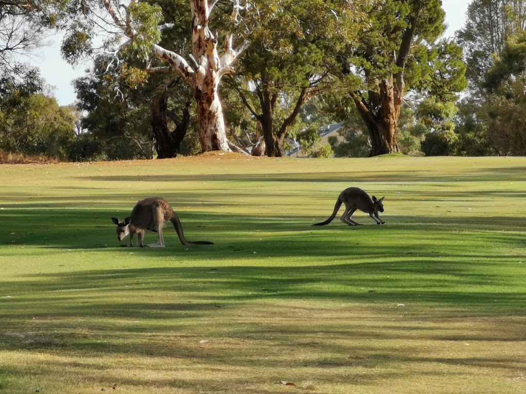 Tanunda Pines Golf Club |  | Pioneer Ave, Rowland Flat SA 5352, Australia | 0885631200 OR +61 8 8563 1200