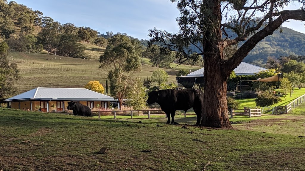 The Sarah Key Spinal Retreat | Fernleigh Rd, Pages Creek NSW 2337, Australia | Phone: 0408 960 520