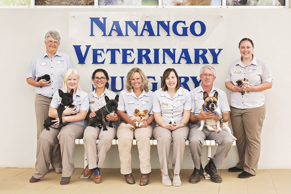 Nanango Veterinary Surgery | veterinary care | 104 Drayton St, Nanango QLD 4615, Australia | 0741631611 OR +61 7 4163 1611