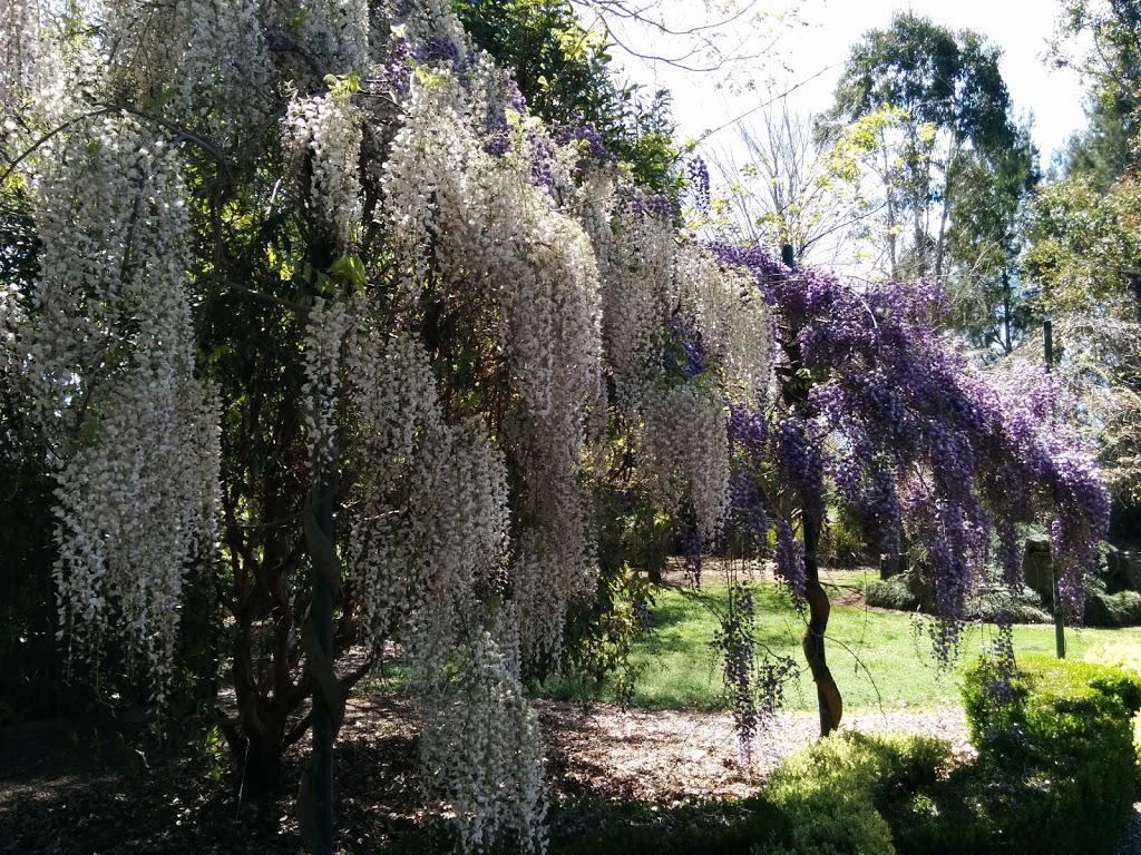 Cool Climate Garden Centre | 1 Glen Legh Rd, Glen Innes NSW 2370, Australia | Phone: 0429 321 551