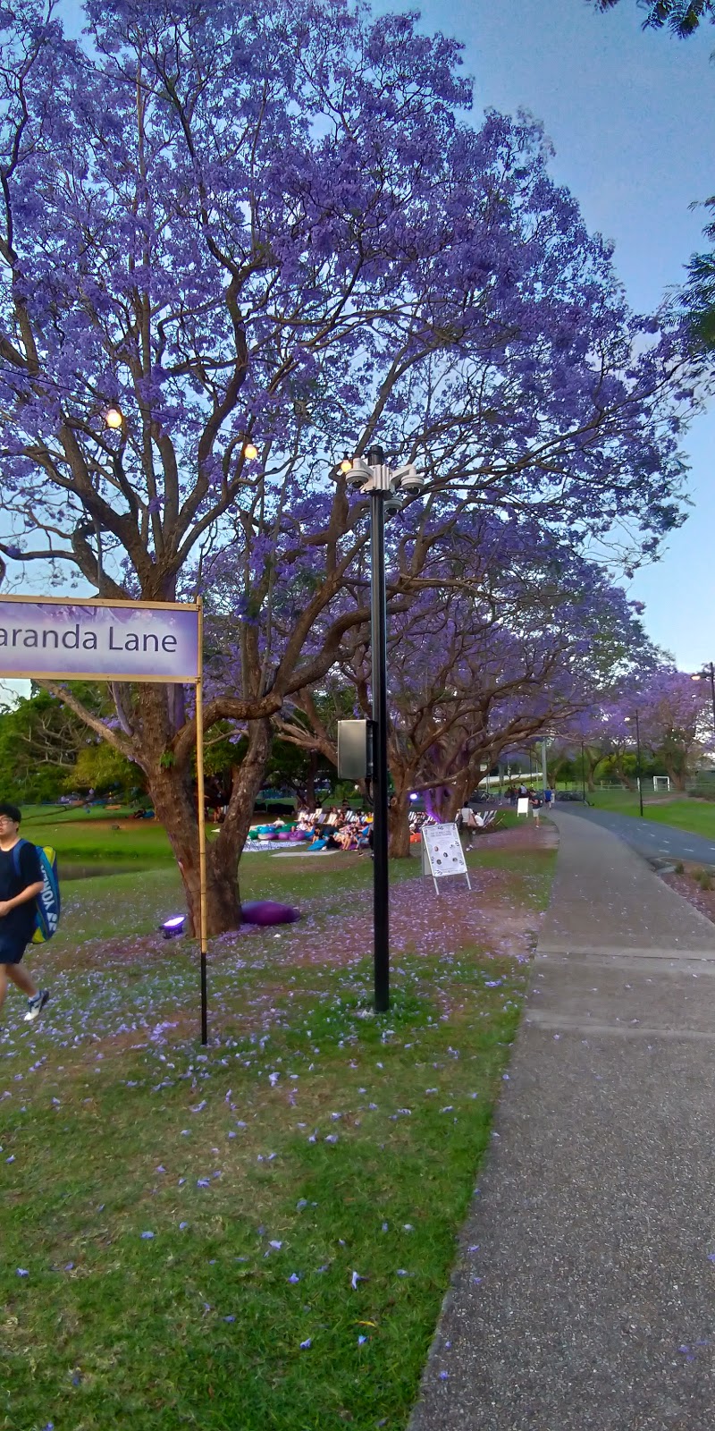 UQ Lakes | university | University Dr, St Lucia QLD 4067, Australia | 0733651111 OR +61 7 3365 1111