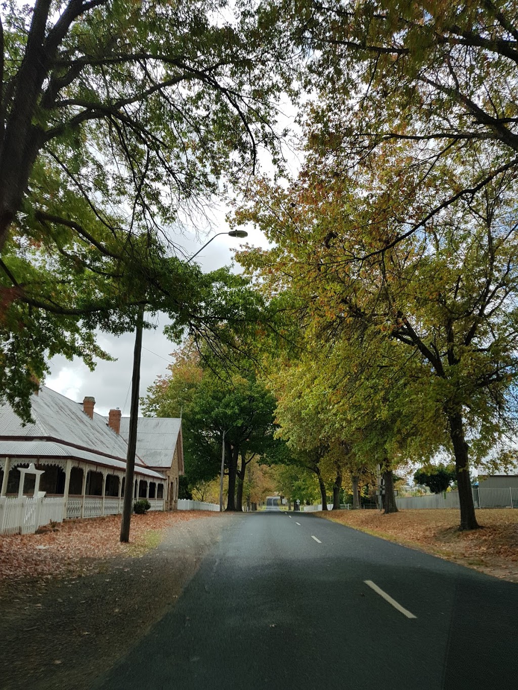 Market Square Park with Toilets | park | LOT 701 Clarence St, Tenterfield NSW 2372, Australia