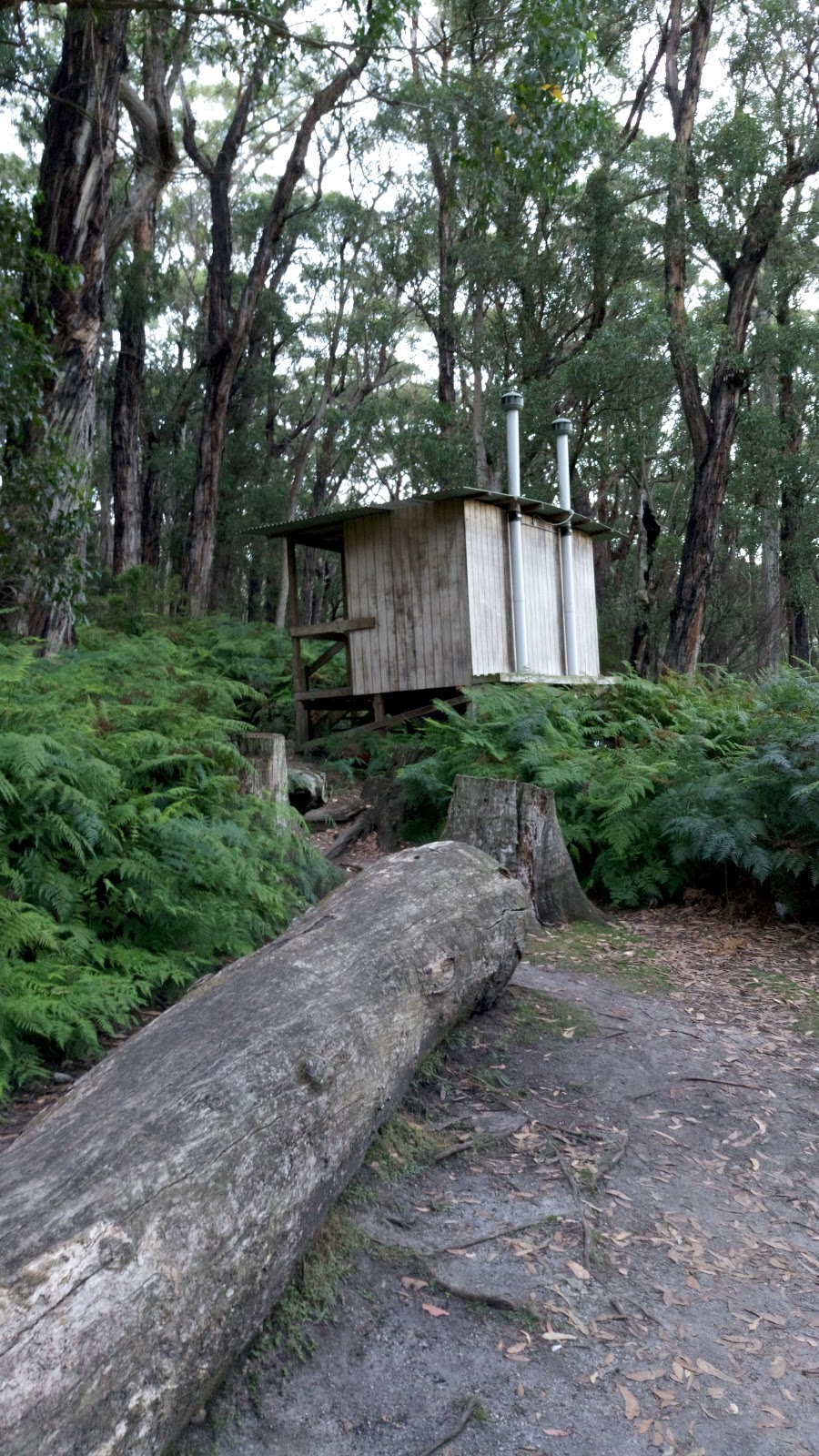 Sealers Cove Campground | National Park, Wilsons Promontory VIC 3960, Australia | Phone: 13 19 63