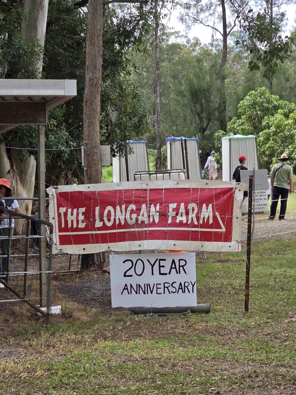 The Longan Farm | 359 Raynbird Rd, Narangba QLD 4504, Australia | Phone: 0482 978 053