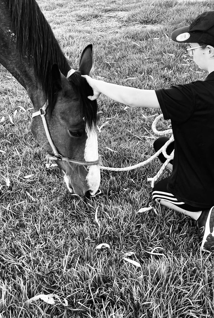 Rekcut Equine | 47 Penglase Ln, Barham NSW 2732, Australia | Phone: 0400 075 020