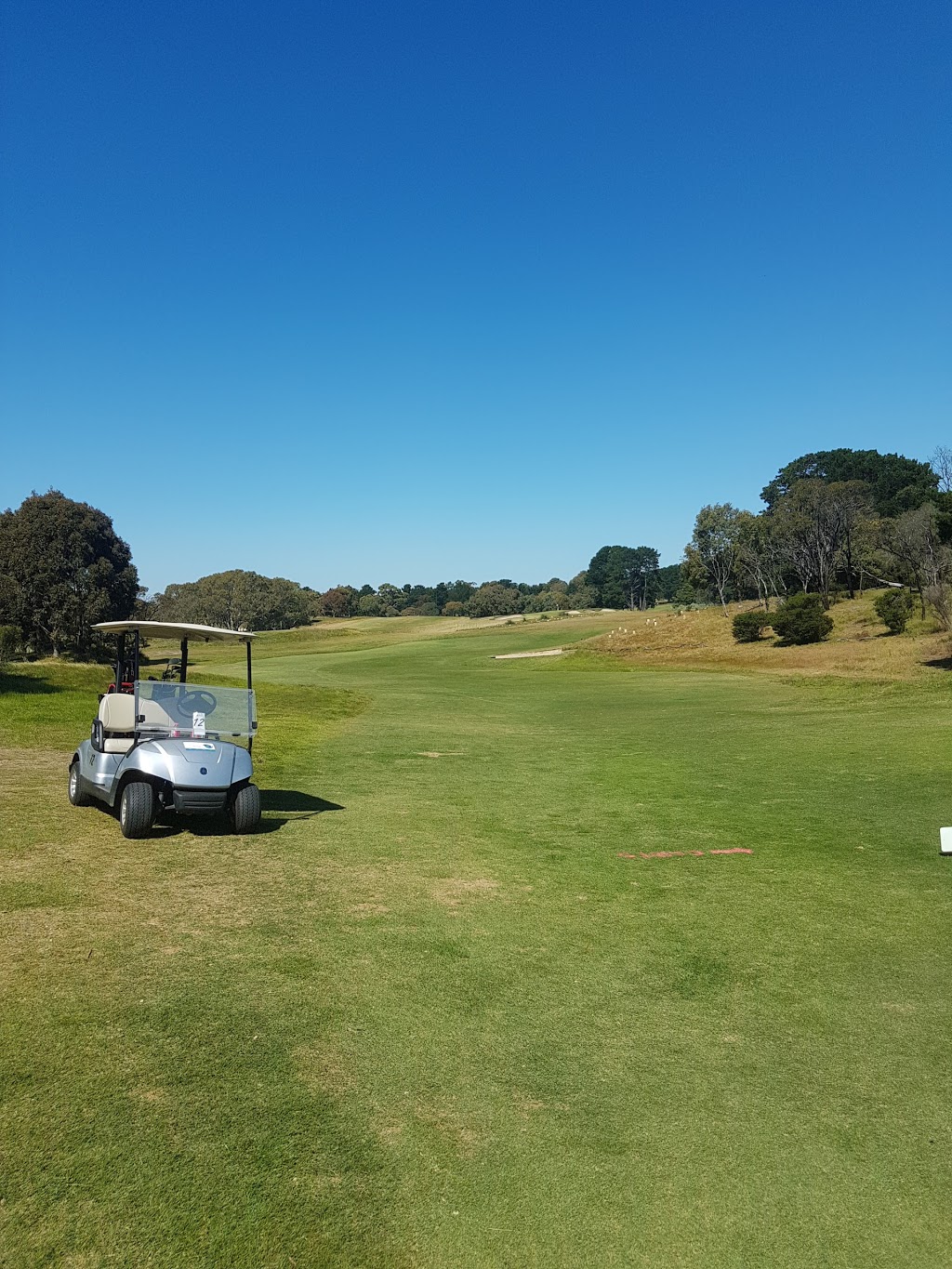 Curlewis Golf Club | store | 1345 Portarlington Rd, Curlewis VIC 3222, Australia | 0352511111 OR +61 3 5251 1111