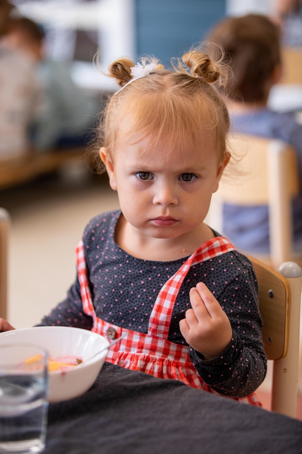 Sanctuary Early Learning Adventure Maudsland | 182 Maudsland Rd, Maudsland QLD 4210, Australia | Phone: (07) 5551 6729