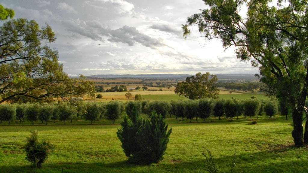 Wollundry Grove Olives | tourist attraction | 15 Mary Gilmore Rd, Brucedale NSW 2650, Australia | 0429201773 OR +61 429 201 773