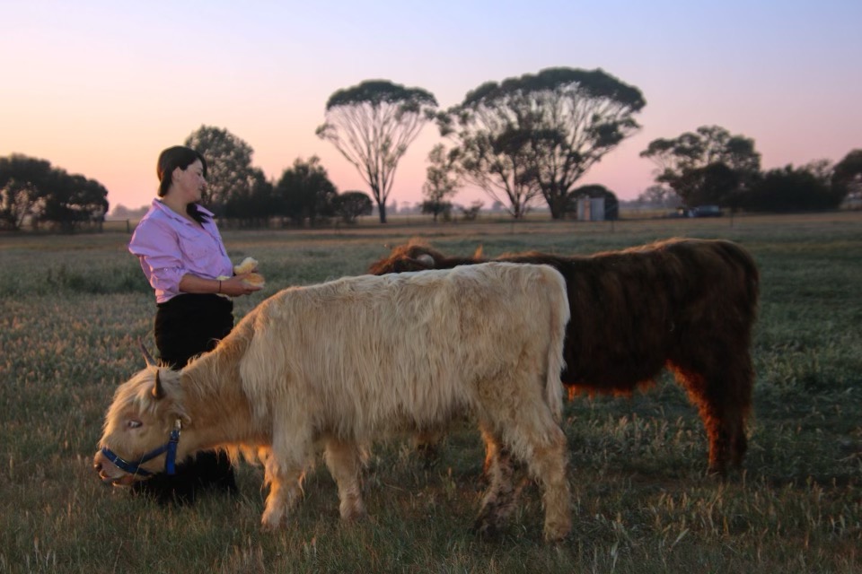 Point Little Farm | 687 Echuca West School Rd, Echuca West VIC 3564, Australia | Phone: 0407 703 198