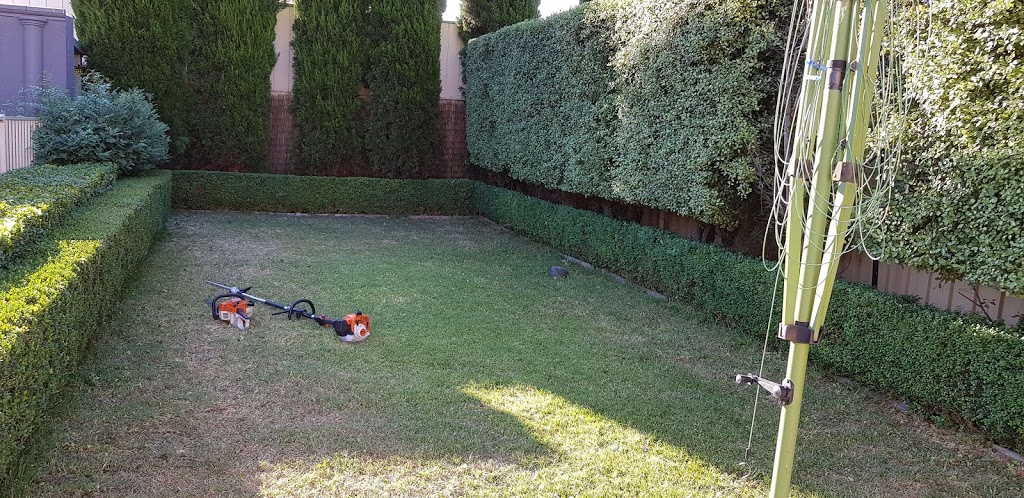 Green Yard Garden Maintenance | Outlook Dr, Glenroy VIC 3046, Australia | Phone: 0421 862 010