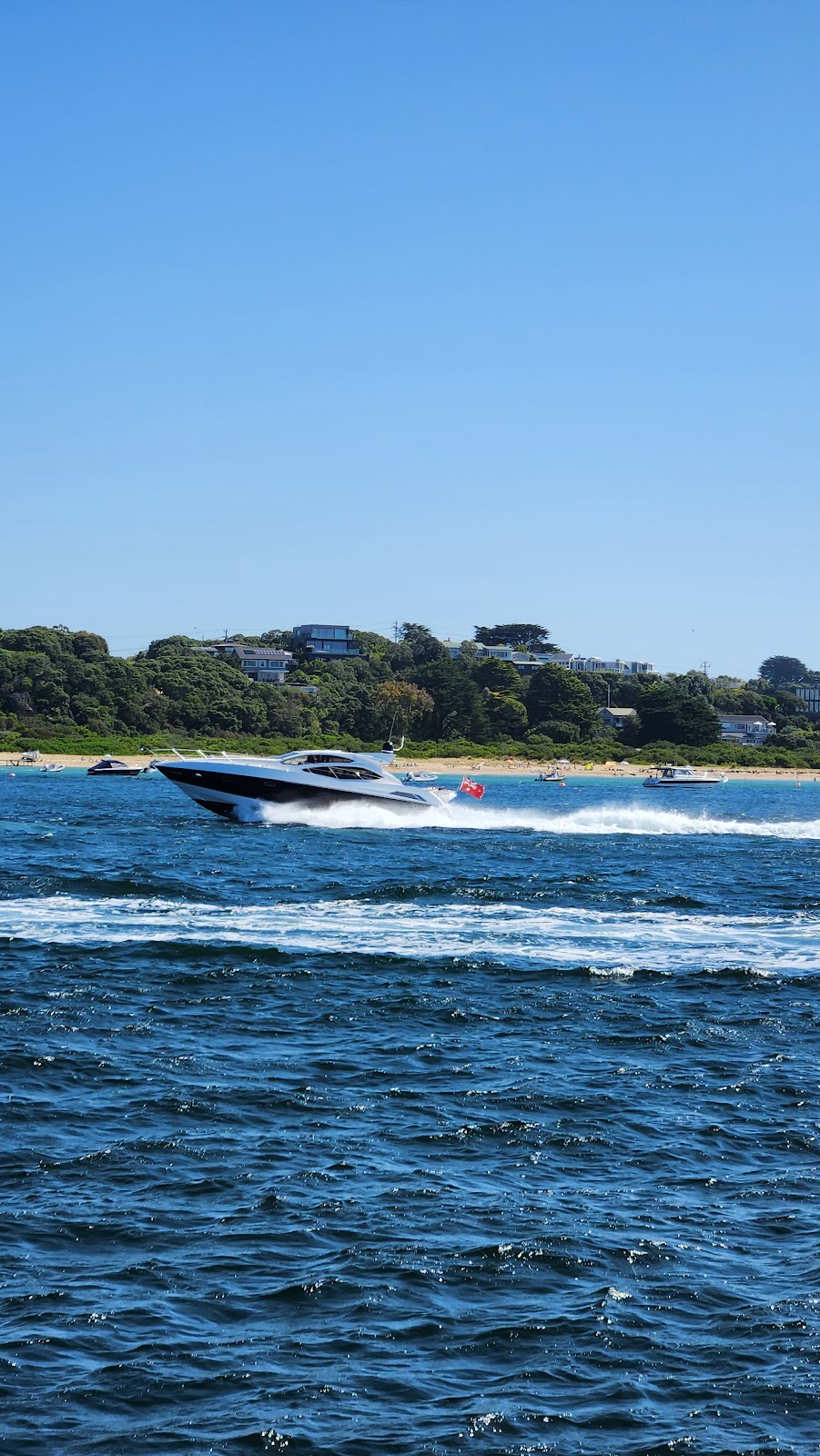 Pro Vessel Management | Marine Parade, Elwood VIC 3184, Australia | Phone: 0477 816 097