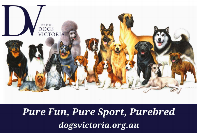 Dogs Victoria (registered as Victorian Canine Association Inc) |  | 655 Western Port Hwy, Skye VIC 3977, Australia | 0397882500 OR +61 3 9788 2500
