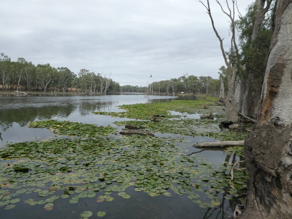 Cockatoo Lagoon | park | Thompsons Bridge Rd, Gunbower VIC 3566, Australia