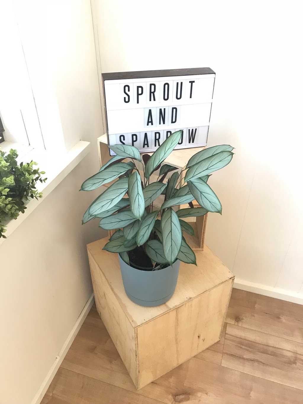 Sprout and Sparrow | home goods store | 1/95 Cochranes Rd, Moorabbin VIC 3189, Australia | 0407411088 OR +61 407 411 088