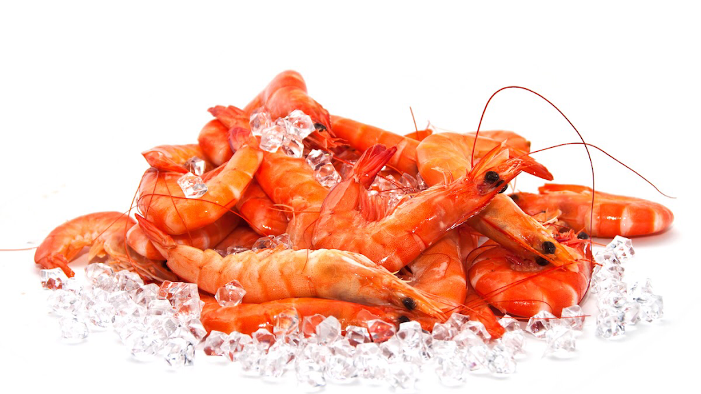 TodayFresh Seafood | 9 Harbour Village Parade, Coomera QLD 4209, Australia | Phone: 0412 017 530