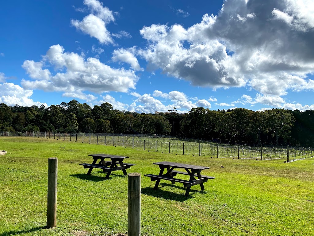 Cauldron Distillery | 89-123 Hartley Rd, Tamborine Mountain QLD 4272, Australia | Phone: (07) 5545 0156