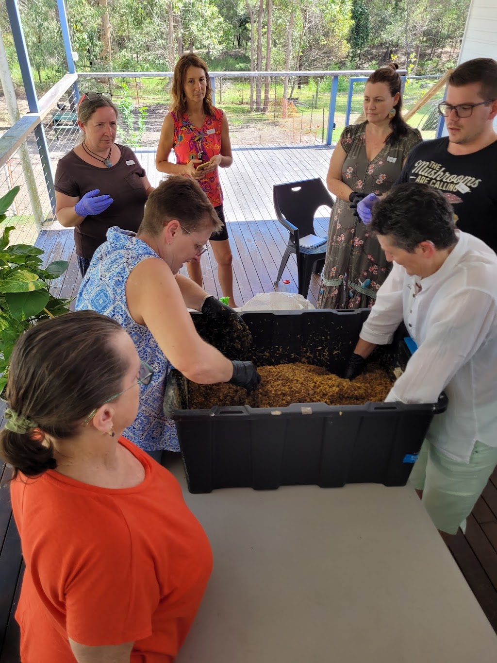 The Lotus Cottage | 8/14 Conifer Ct, Logan Village QLD 4207, Australia | Phone: 0435 774 564 The Lotus Cottage | 8/14 Conifer Ct, Logan Village QLD 4207, Australia | Phone: 0435 774 564