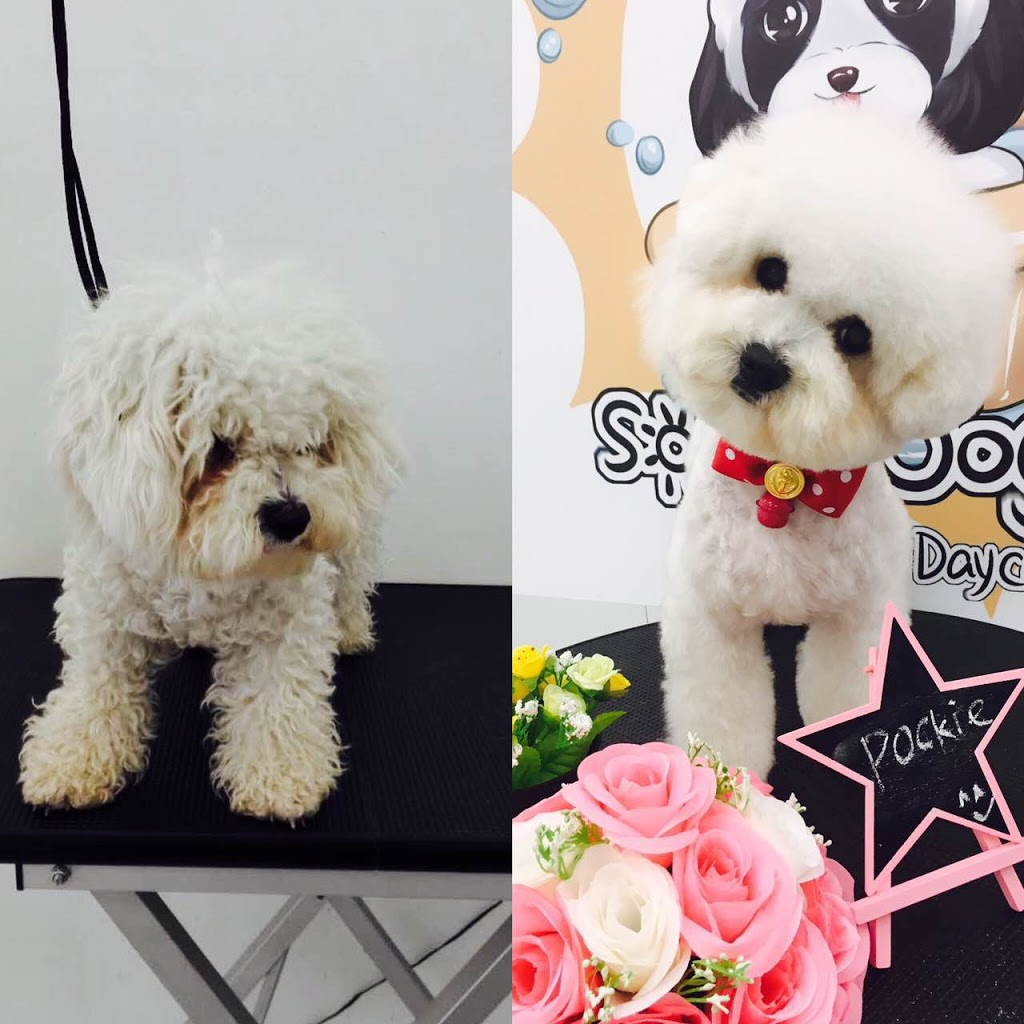 Sunny Dogs Salon | 3/635 Gardeners Rd, Mascot NSW 2020, Australia | Phone: 0402 635 186