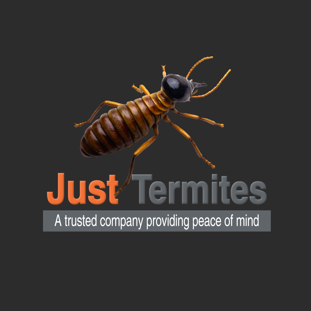 Just Termites | 43 Greenaway St, Bulleen VIC 3105, Australia | Phone: 1800 737 807