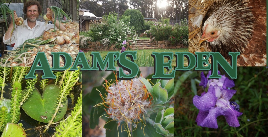 Adams Eden | park | 155 Walkers Rd, Woodend VIC 3442, Australia | 0354271839 OR +61 3 5427 1839
