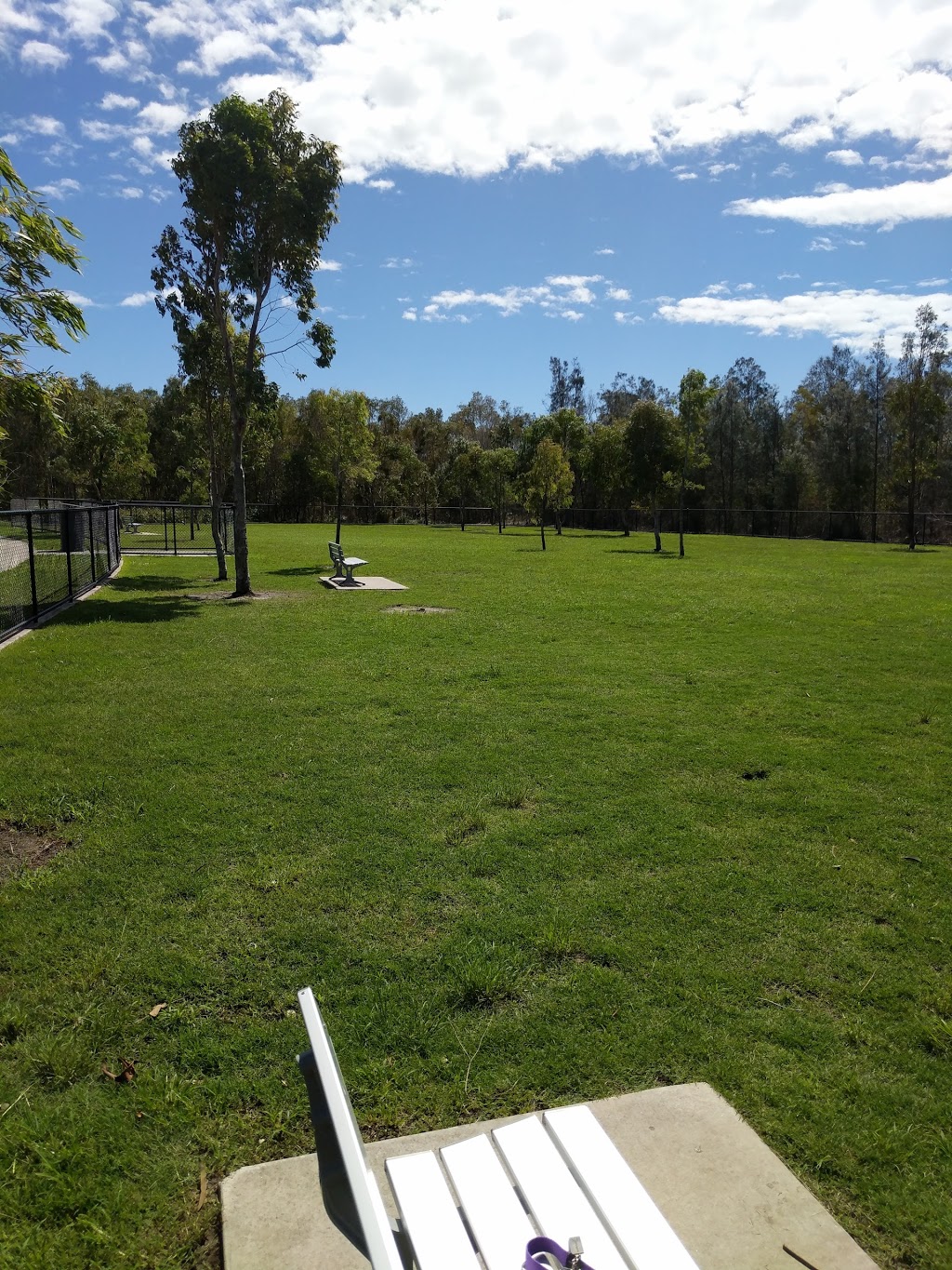 Brightwater Dog Park | Sporting Field, 21-27 Heliconia St, Mountain Creek QLD 4557, Australia
