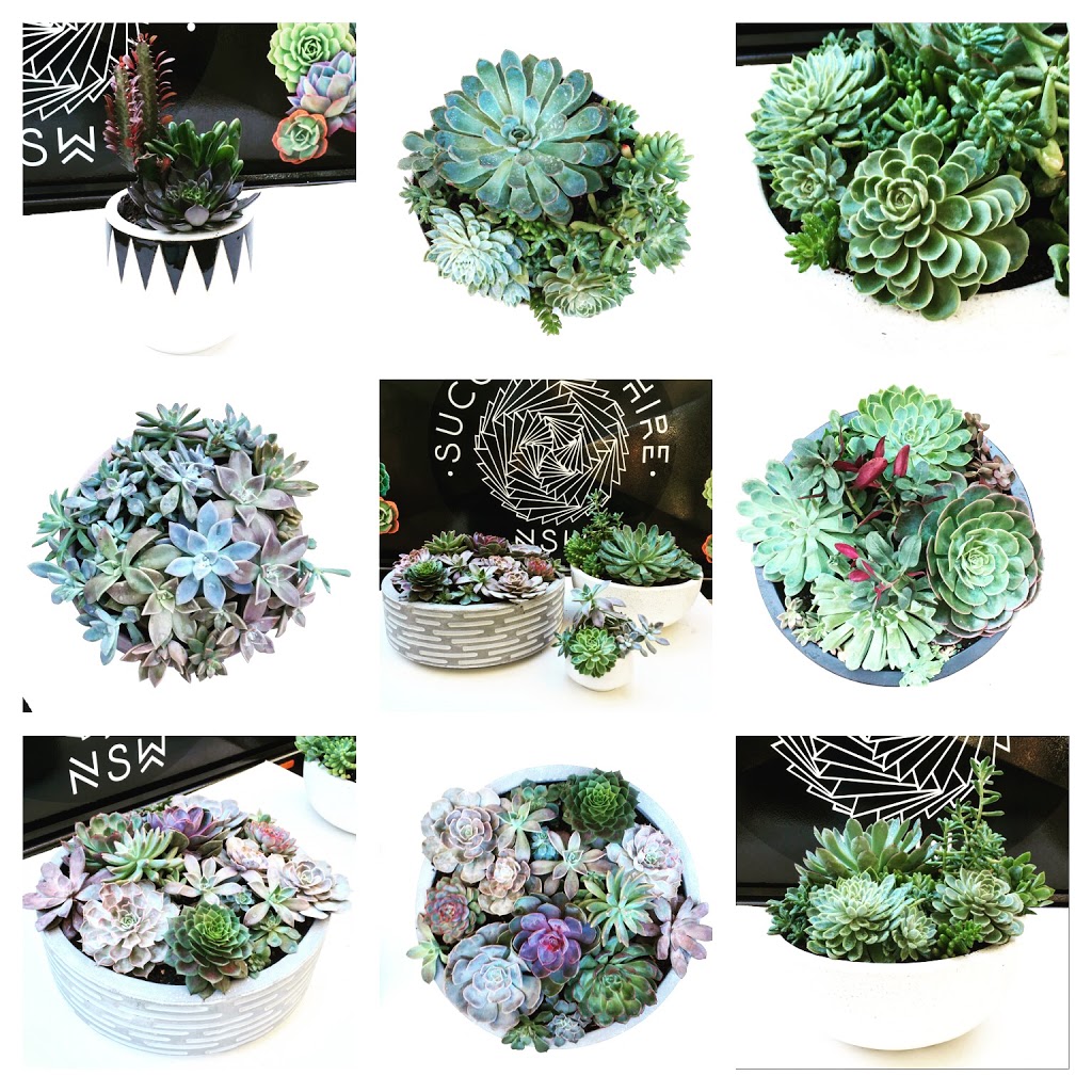 Succulent Hire NSW | general contractor | 6 Strathmore Rd, Caves Beach NSW 2281, Australia | 0406399276 OR +61 406 399 276