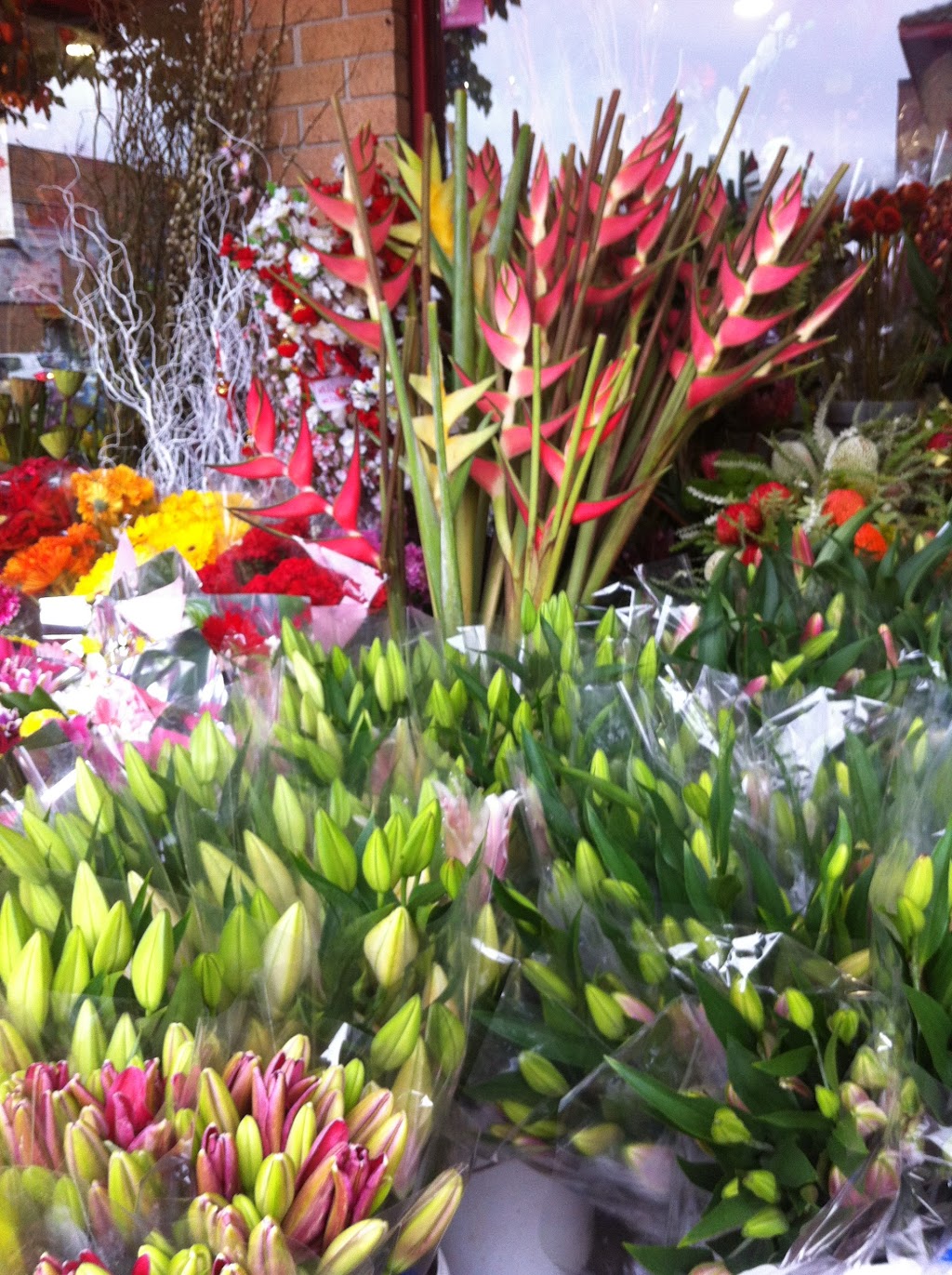 Glorious Flowers | Shop 20/1 Hughes St, Cabramatta NSW 2166, Australia | Phone: (02) 9727 2978