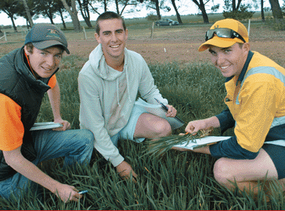 Longerenong College | 229 Longerenong Rd, Longerenong VIC 3401, Australia | Phone: (03) 5362 2222