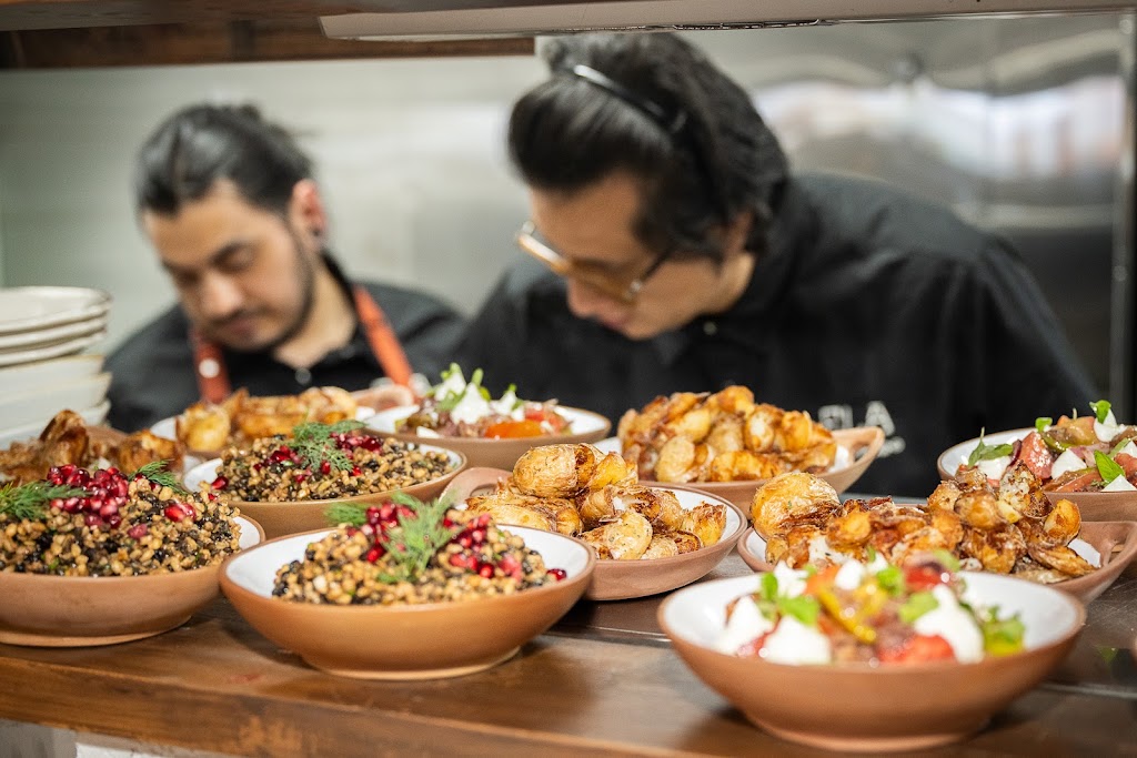 ELA Torquay | 17 The Esplanade, Torquay VIC 3228, Australia | Phone: (03) 4224 9333